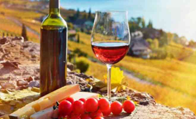 Wine Tour